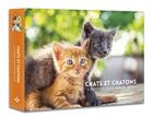 Couverture du livre « L'agenda-calendrier chats & chatons (édition 2019) » de  aux éditions Hugo Image