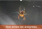 Couverture du livre « Le monde des araignees et des » de Martine Julien aux éditions Calvendo