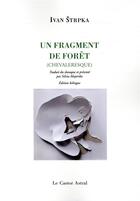 Couverture du livre « Un fragment de forêt (chevaleresque) » de Ivan Strpka aux éditions Castor Astral