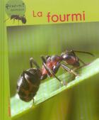 Couverture du livre « La fourmi » de Vincent Albouy aux éditions Mango
