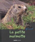 Couverture du livre « La petite marmotte » de Anne Jonas aux éditions Mango