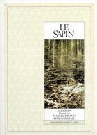 Couverture du livre « Le sapin » de Andersen H C. aux éditions Grasset Jeunesse