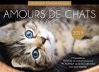 Couverture du livre « Agenda panoramique amours de chats 2019 » de  aux éditions Editions 365