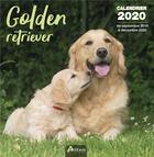 Couverture du livre « Calendrier golden retriever (2020) » de  aux éditions Artemis