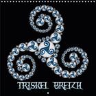 Couverture du livre « Triskel breizh calendrier mural 2020 300 300 mm square - art celtique calendrier mensue » de Bluesax K.A. aux éditions Calvendo