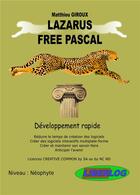 Couverture du livre « Lazarus Free Pascal ; développement rapide » de Matthieu Giroux aux éditions Liberlog