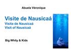 Couverture du livre « Visite de Nausicaá ; Big Whity & Kids » de Veronique Abuela aux éditions Books On Demand
