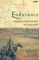 Couverture du livre « Endurance » de Somers Dermot aux éditions The O'brien Press Digital