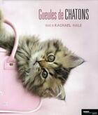 Couverture du livre « Gueules de chatons » de Hale Rachael aux éditions Hors Collection