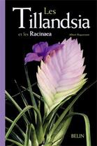 Couverture du livre « Les tillandsia et les racinaea » de Aline Raynal-Roques aux éditions Belin