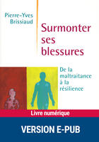 Couverture du livre « Surmonter ses blessures » de Pierre-Yves Brissiaud aux éditions Retz