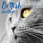 Couverture du livre « Calendrier british shortair (2020) » de  aux éditions Artemis