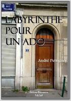 Couverture du livre « Labyrinthe pour un ado » de Andre Perriguey aux éditions Beaurepaire