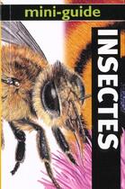 Couverture du livre « Les Insectes » de Steve Setford aux éditions Soline