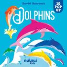 Couverture du livre « Dolphins » de David Hawcock aux éditions Nuinui Jeunesse