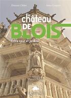 Couverture du livre « Le château de Blois : Entre cour et jardins, de la forteresse au musée » de Etienne Chilot aux éditions Le Charmoiset