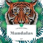 Couverture du livre « Mandalas » de Florence Dellerie aux éditions Hachette Pratique