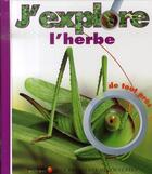Couverture du livre « J'explore l'herbe de tout près » de Collectif/Krawczyk aux éditions Gallimard-jeunesse
