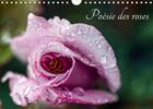 Couverture du livre « Poesie des roses calendrier mural 2020 din a4 horizontal - regardons une rose comme une t » de Carmen Mocanu aux éditions Calvendo