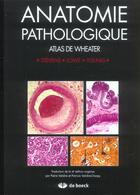 Couverture du livre « Anatomie pathologique - atlas de wheater » de Lowe/Stevens/Young aux éditions De Boeck Superieur