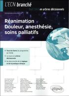 Couverture du livre « Réanimation, douleur, anesthésie, soins palliatifs » de Mouterde Olivier aux éditions Ellipses