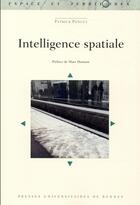 Couverture du livre « Intelligence spatiale » de Patrick Poncet aux éditions Pu De Rennes