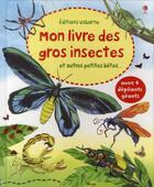 Couverture du livre « Mon livre des gros insectes et autres petites bêtes » de Emily Bone et Fabiono Fiorin aux éditions Usborne