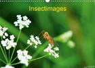 Couverture du livre « Insectimages calendrier mural 2020 din a3 horizontal - photographies d insectes calen » de Lionel Marcu aux éditions Calvendo