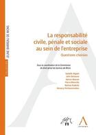 Couverture du livre « La responsabilité civile, pénale et sociale au sein de l'entreprise ; questions choisies » de  aux éditions Anthemis