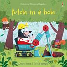 Couverture du livre « Mole in a hole » de Lesley Sims aux éditions Usborne