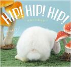 Couverture du livre « Hip ! hip ! hip ! » de Ayako aux éditions Nippan