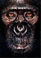 Couverture du livre « James and other apes » de James Mollison aux éditions Chris Boot