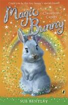 Couverture du livre « Magic bunny » de Sue Bentley aux éditions Children Pbs