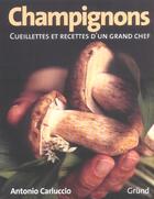 Couverture du livre « Champignons ; Cueillettes Et Recettes D'Un Grand Chef » de Antonio Carluccio aux éditions Grund