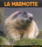 Couverture du livre « Marmotte (la) » de Henry Ausloos aux éditions Milan