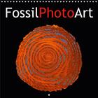 Couverture du livre « Fossilphotoart calendrier mural 2020 300 300 mm square - photos de fossiles manipulees » de Moosleitner Ger aux éditions Calvendo