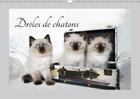 Couverture du livre « Droles de chatons calendrier mural 2018 din a3 horizontal - ils vous donneront le sourire » de Chrystal J aux éditions Calvendo