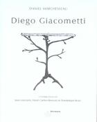 Couverture du livre « Diego giacometti » de Daniel Marchesseau aux éditions Hermann