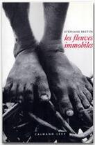 Couverture du livre « Les fleuves immobiles » de Stephane Breton aux éditions Calmann-levy