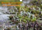 Couverture du livre « Mousses et lichens de Fontainebleau (Calendrier mural 2020 DIN A4 horizontal) ; 12 photos des mousses et lichens communs (Calendrier mensuel, 14 Pages ) » de Greg Clouzeau aux éditions Calvendo