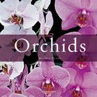 Couverture du livre « Orchids » de Michel Viard aux éditions Flammarion