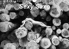 Couverture du livre « Sexy saxo calendrier mural 2018 din a4 horizontal - des nus et un saxo au gre d un » de Photographe R aux éditions Calvendo