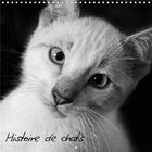 Couverture du livre « Histoire de chats calendrier mural 2020 300 300 mm square - photos de chats tous plus craq » de Photos Ysis aux éditions Calvendo