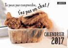 Couverture du livre « Calendrier 2017 tu peux pas comprendre, t'es pas un chat ! » de Alice Zabee et Aurelie Lemoine aux éditions Larousse