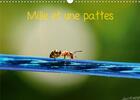 Couverture du livre « Mille et une pattes calendrier mural 2020 din a3 horizontal - photographie d insectes calend » de Lionel Marcu aux éditions Calvendo