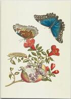 Couverture du livre « Carnet de notes et lectures : métamorphose des papillons » de Anna Maria Sybilla Merian aux éditions Reliefs Editions