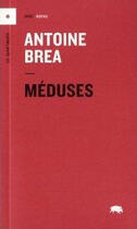 Couverture du livre « Méduses » de Antoine Brea aux éditions Le Quartanier