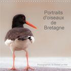 Couverture du livre « Portraits d oiseaux de bretagne calendrier mural 2020 300 300 mm square - 12 photographies de proxim » de Le Mell Michel aux éditions Calvendo