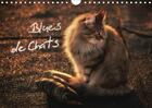 Couverture du livre « Blues de chats calendrier mural 2018 din a4 horizontal - des chats eleves avec le blues » de Gross V aux éditions Calvendo