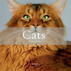 Couverture du livre « Cats » de Claude Pacheteau aux éditions Flammarion